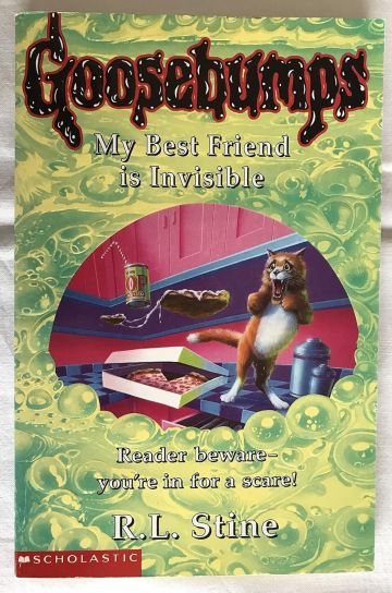 My Best Friend Is Invisible